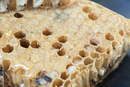 Wallpaper Mural close up honeycomb and honey on  background Torontodigital.ca