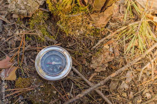 Obraz na płótnie Compass lying on old moss