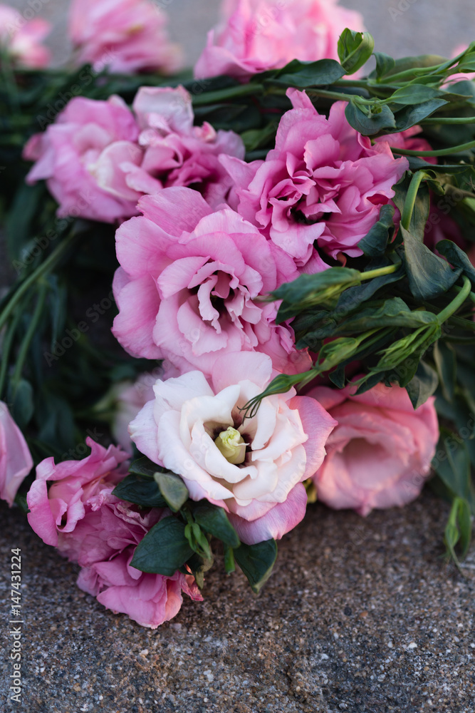 Fototapeta premium pink eustoma flowers