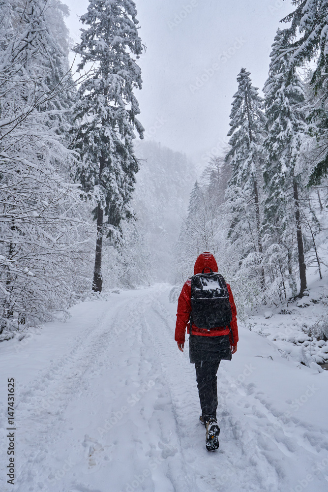 Woman hiker on a snowy trail