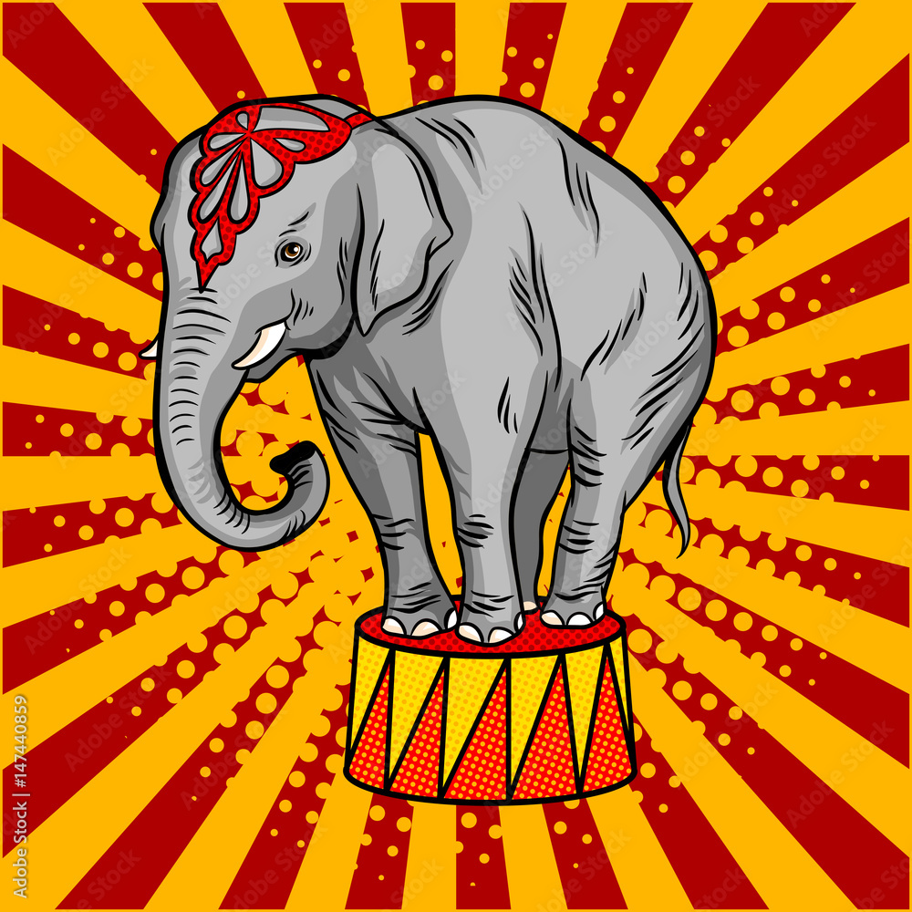 Fototapeta premium Circus elephant on pedestal pop art style vector