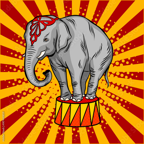 Circus elephant on pedestal pop art style vector