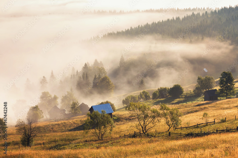 Fototapeta premium Summer sunrise in Bucovina