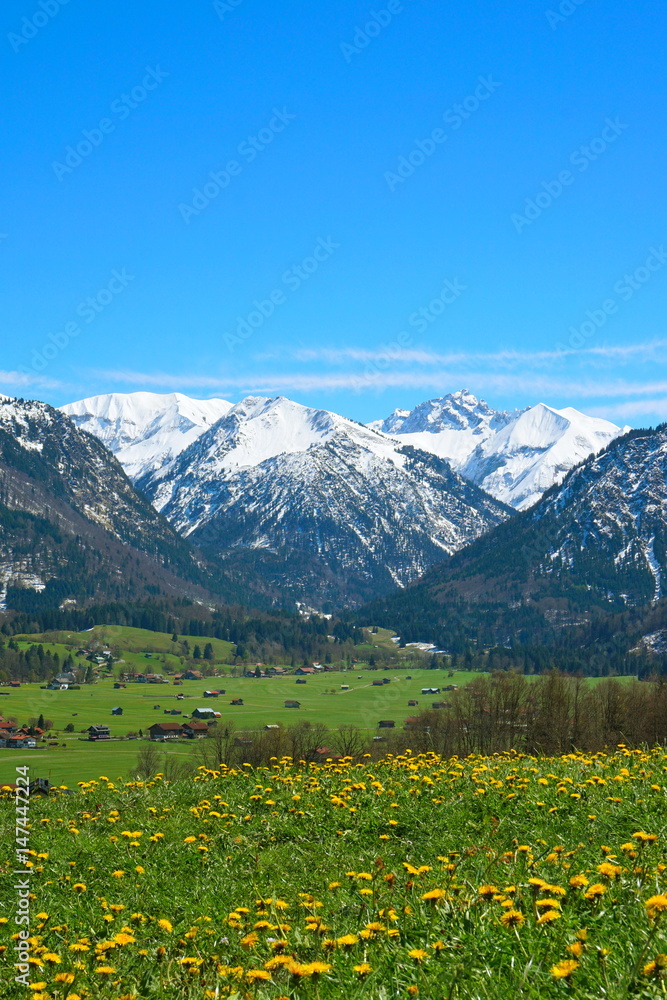 Blumenwiese und Berge mit Schnee in den Alpen