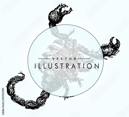 beautiful detailed sketch tattoo Scorpio