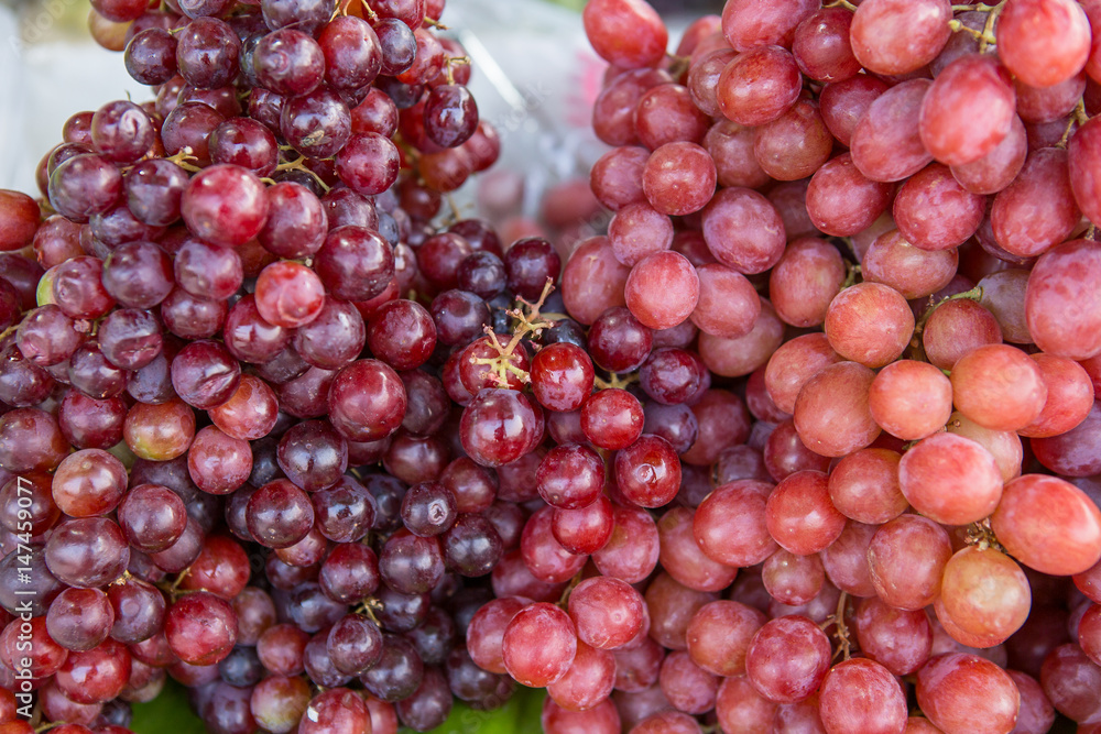 Red wine grapes background dark grapes blue grapes Red Grape Cardinal Grape Emperor Grape Red wine grapes background dark grapes blue grapes Red Grape Cardinal Grape Emperor Grape