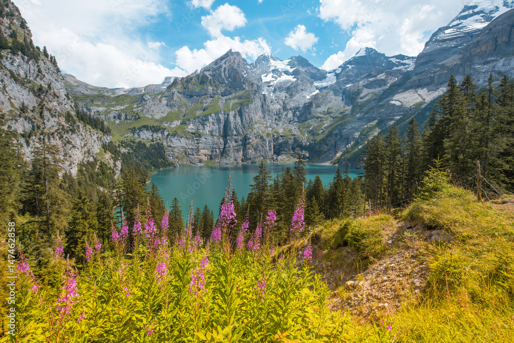 Beautiful natural scenery with the Oeschinensee in the Swiss Alps, near Adelboden, Switzerland, Europe