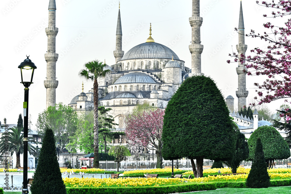 Sultan Ahmed Mosque or Blue Mosque in Istanbul, Turkey