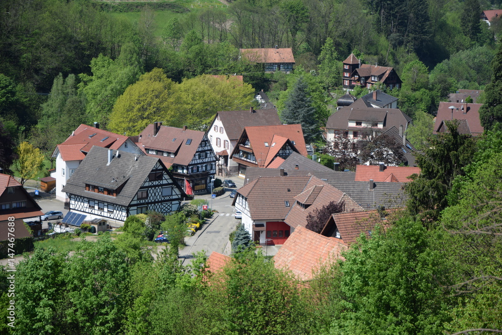 Häuser in Sasbachwalden
