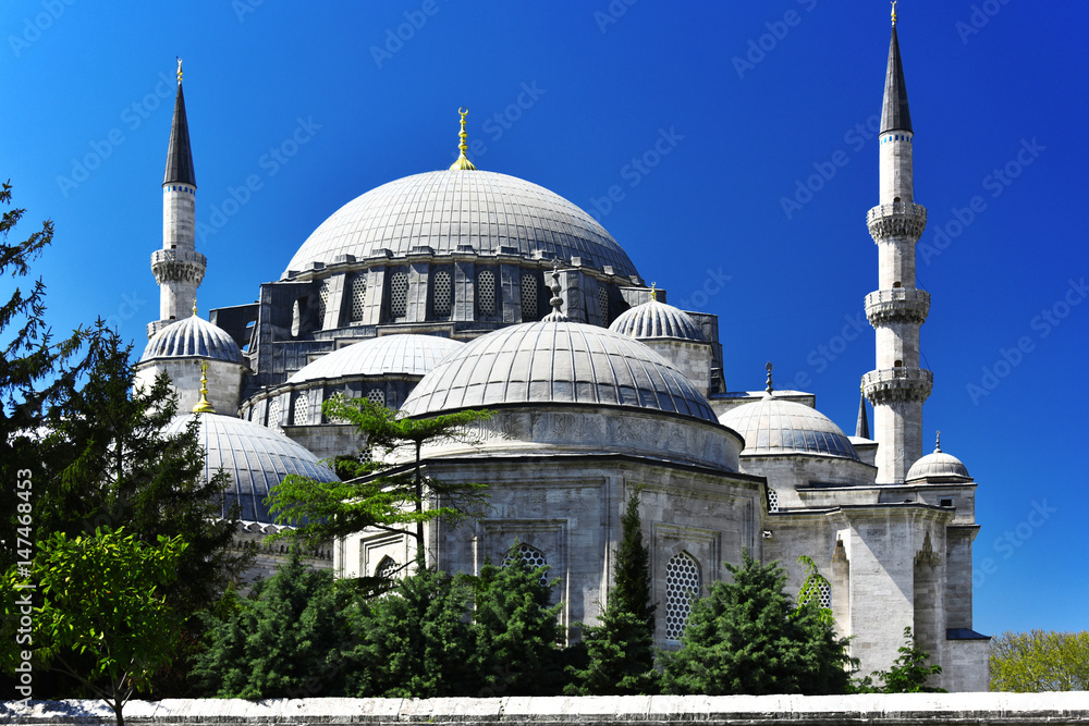 Obraz premium Suleymaniye Mosque in Istanbul, Turkey