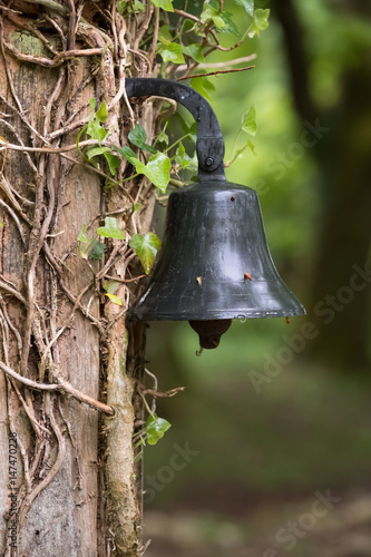 cloche maison sonner entrée campagne charme maisonnette signaler arbre tronc portail © shocky