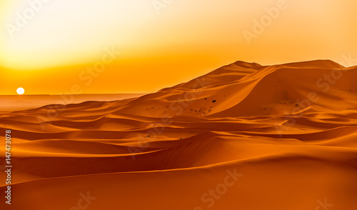 Sunrise over the sand dunes of Erg Chebbi in Sahara , Morocco
