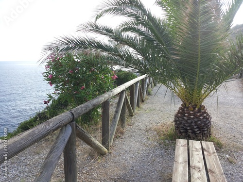 Landscape of elba island 