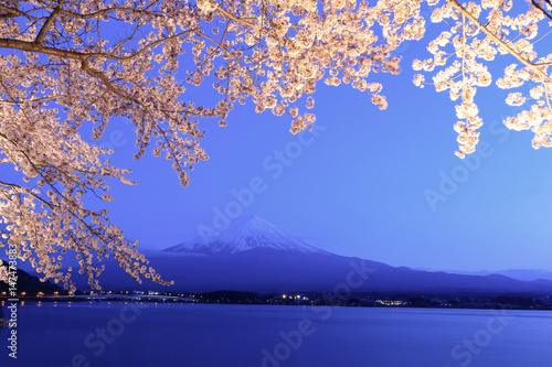 河口湖 富士山と夜桜