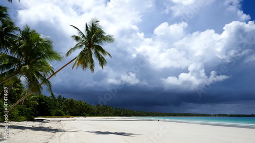 Fototapeta Naklejka Na Ścianę i Meble -  einsamer Traumstrand mit Palmen, weißem Sand und blauem Meer auf den Molukken-Inseln