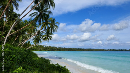 einsamer Traumstrand mit Palmen, weißem Sand und blauem Meer auf den Molukken-Inseln