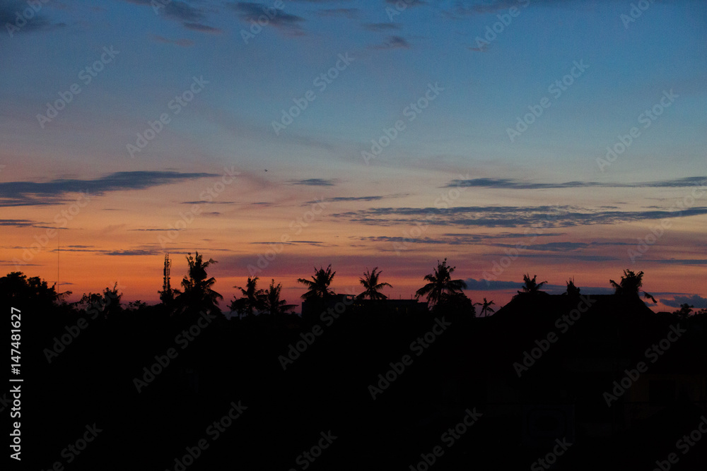 Dawn in the jungle. Dawn in the jungle.