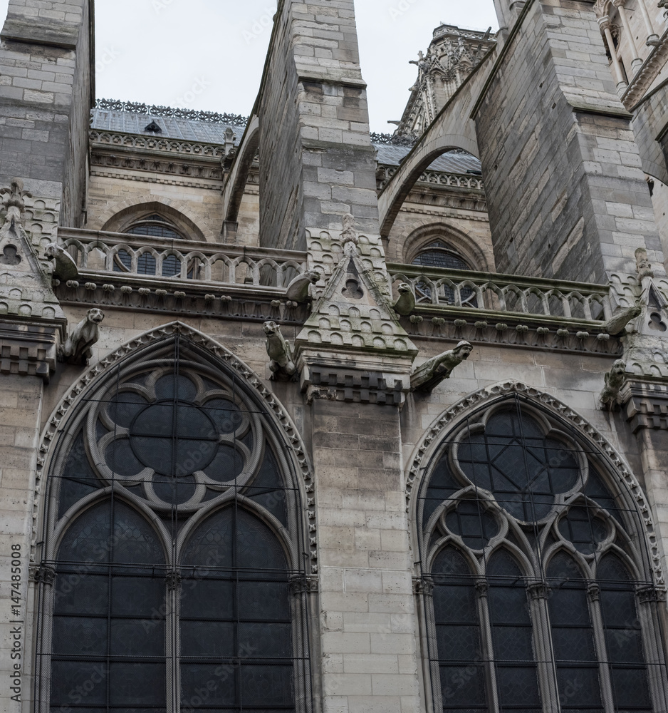 Notre Dame Cathedral Detail, Paris,France