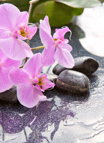 Spa stones and pink orchid on gray background.