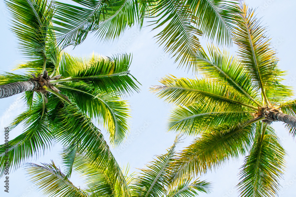 Fototapeta premium Beautiful Cuba during Sunset 