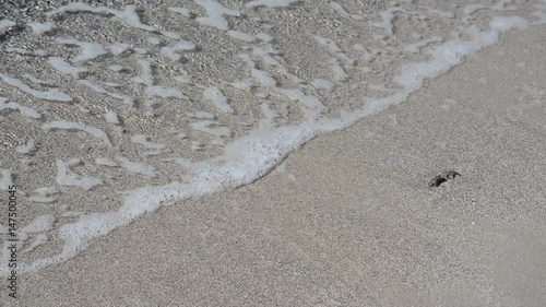 foreshore close up in Sardinia
