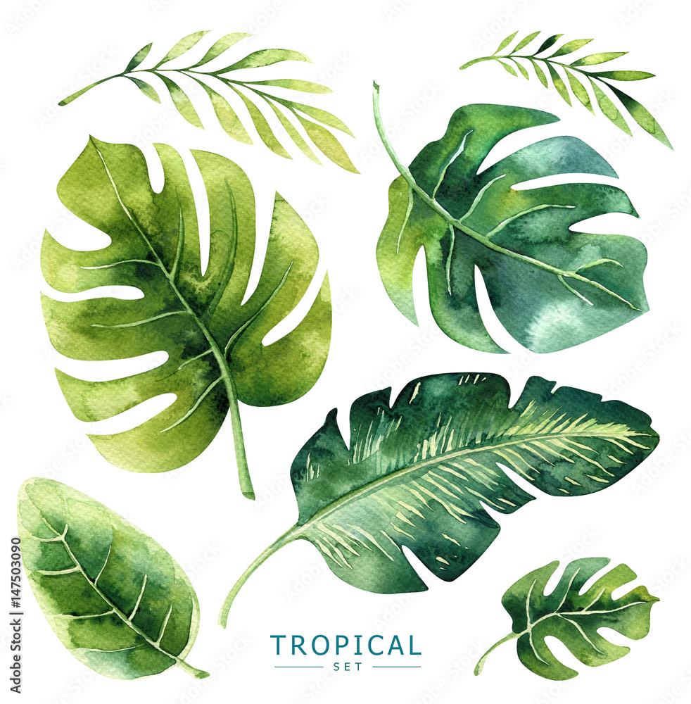 Hand drawn watercolor tropical plants set. Exotic palm leaves, jungle tree, brazil tropic borany elements. Perfect for fabric design. Aloha collection. - obrazy, fototapety, plakaty 