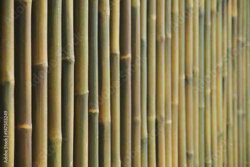 bamboo fence wall background selective focus