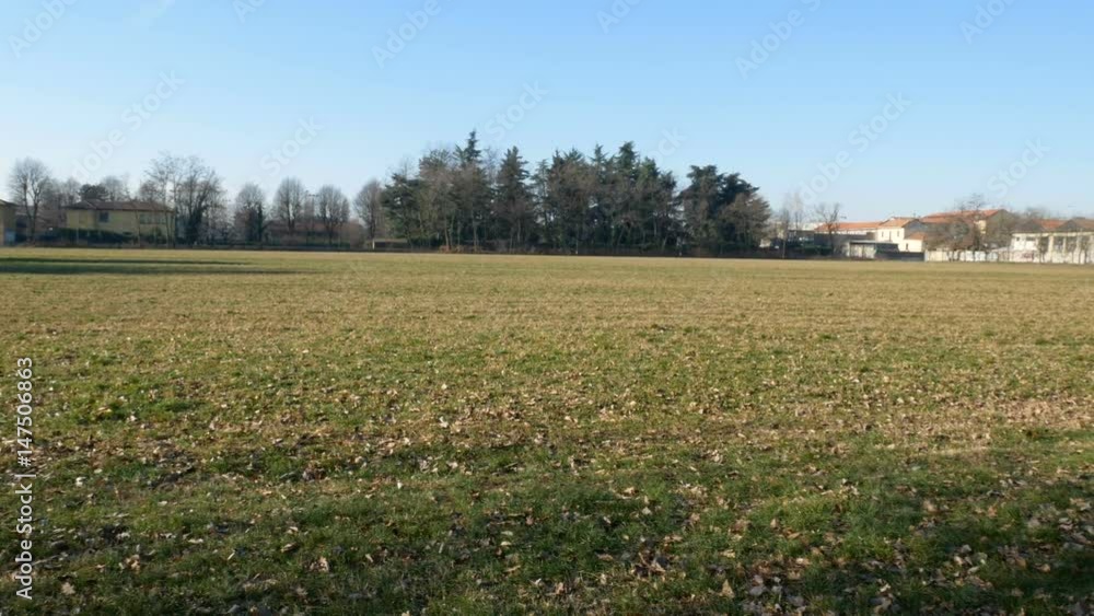 Uncultivated field in Parco Nord, a park created on an ex industrial area in the north of Milan, Italy. Uncultivated field in Parco Nord, a park created on an ex industrial area in the north of Milan, Italy.
