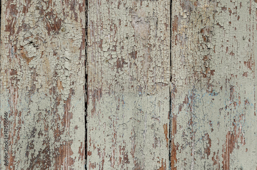 Green wooden texture. Wooden old background panel.