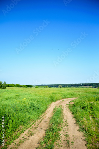 A dirt road in a green field and a blue sky.