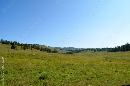 Mountain valley with trees.