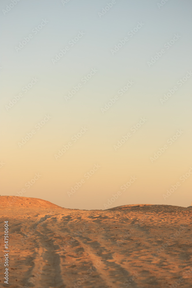 Naklejka premium Golden desert sand at sunset. Gradient on the horizon