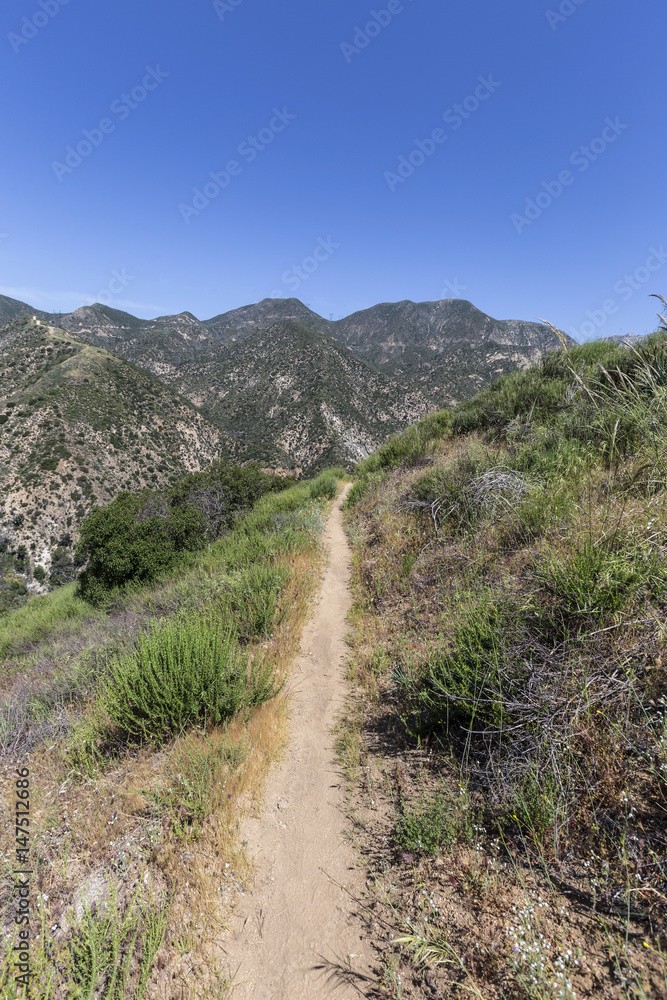 Hiking trail leading towards Arroyo Seco and Bear Canyon in the San Gabriel Mountains of Los Angeles County, California.  