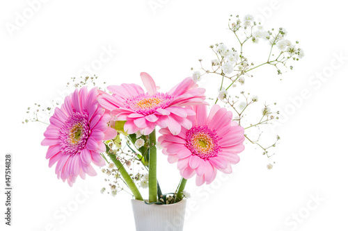 Wallpaper Mural vacker blombukett med rosa gerbera daisys isolerade mot vit bakgrund Torontodigital.ca