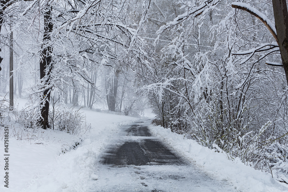 beautiful winter landscape with road and snow-covered trees beautiful winter landscape with road and snow-covered trees
