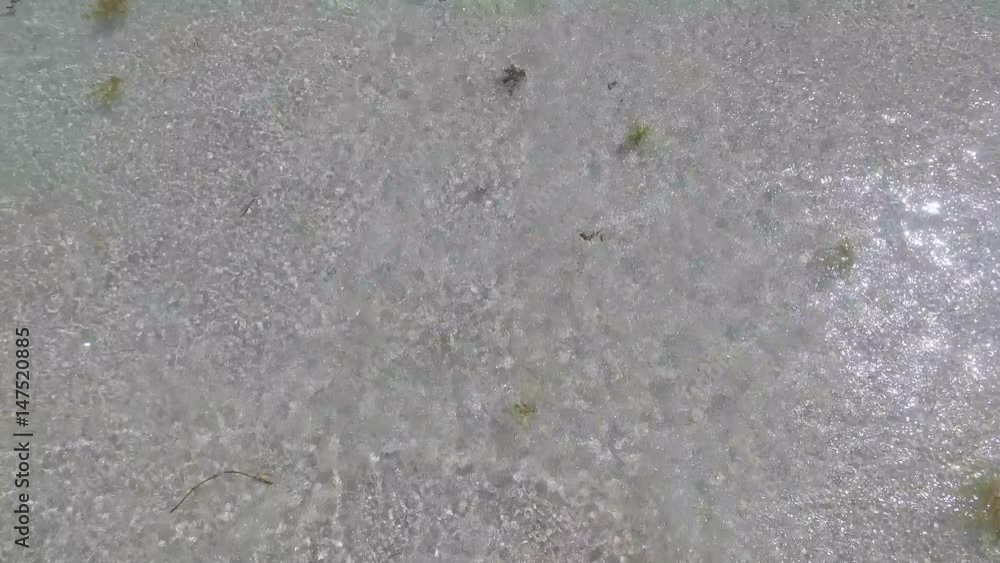 POV Looking Down at Feet - Walking Along Beach Sea Shore, Waves Crashing, White Sand, Seaweed, Ocean Salt Water POV Looking Down at Feet - Walking Along Beach Sea Shore, Waves Crashing, White Sand, Seaweed, Ocean Salt Water