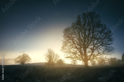 morning sunrise light in dark landscape with trees