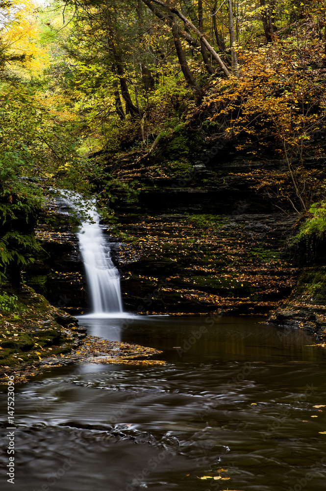 Falls of She-Qua-Ga Creek - Waterfall - New York