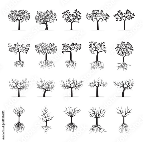 Set Black Trees with Leafs and Roots. Vector Illustration.