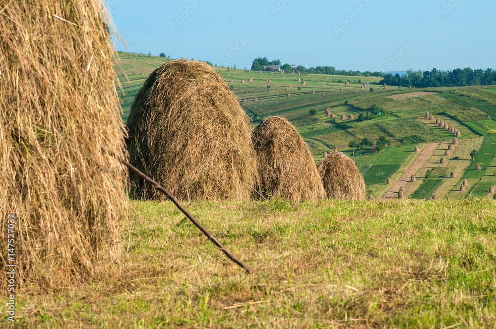 Field with haystacks. Rural landscape; hey rolls on the field at the mountain in Ukraine. Field with haystacks. Rural landscape; hey rolls on the field at the mountain in Ukraine.