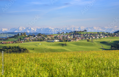 Frühlingsabend bei Scheidegg im Westallgäu photo