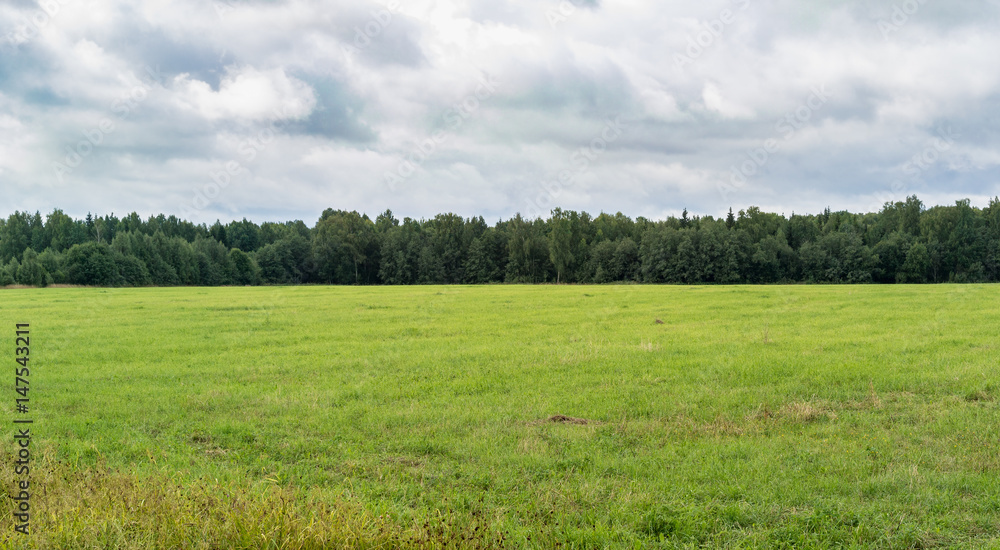 Green field under cloudy sky in overcast day