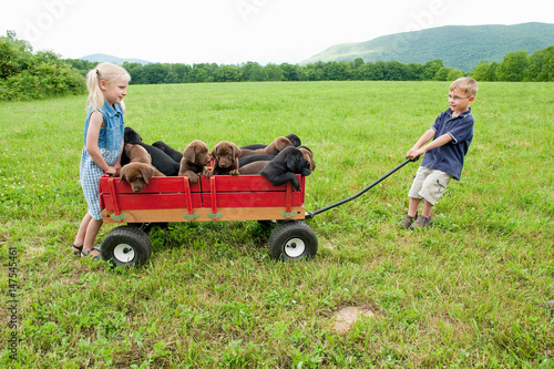 Kids pulling puppies in a wagon