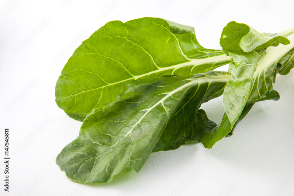 Chard (Beta vulgaris subsp. Vulgaris) isolated in white background Chard (Beta vulgaris subsp. Vulgaris) isolated in white background