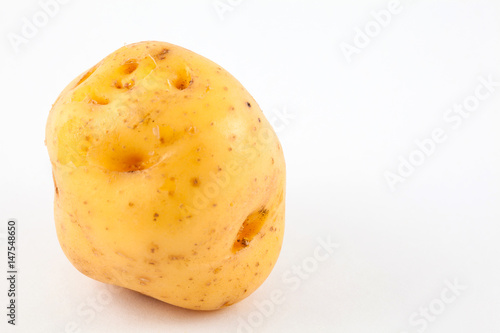 Yellow potato (Solanum phureja) isolated in white background