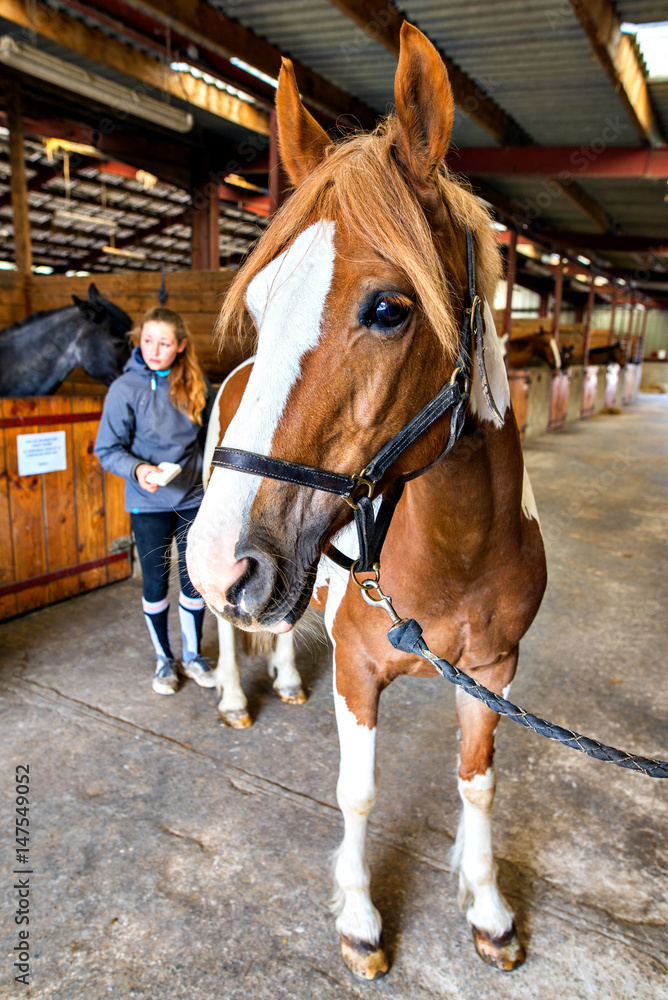 Fototapeta premium préparter sa monture