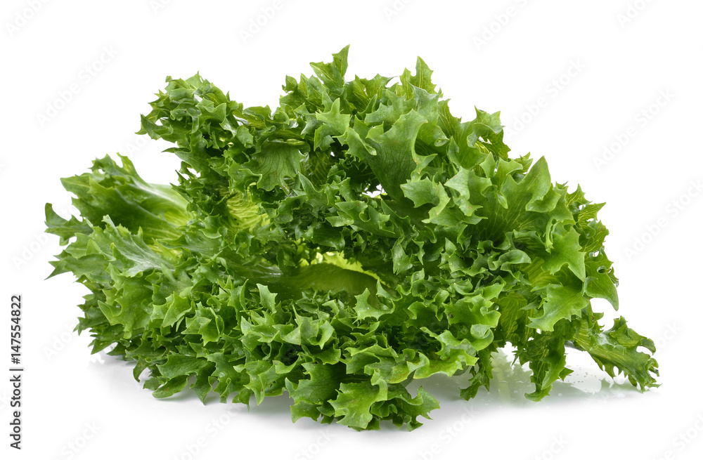 fresh green lettuce leaves isolated on white fresh green lettuce leaves isolated on white