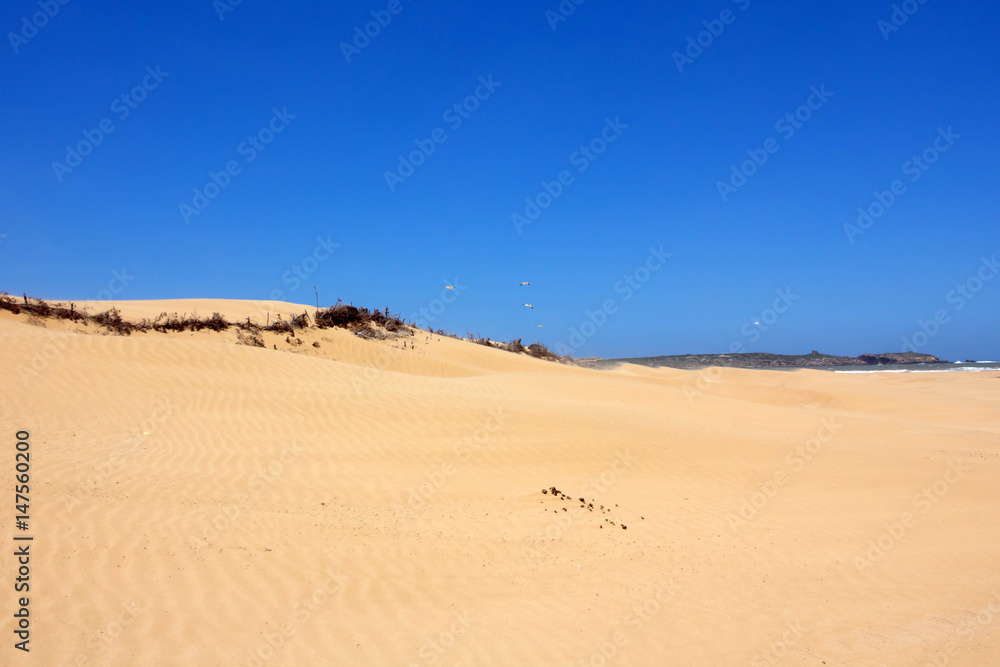 Plage d'Essaouira au Maroc