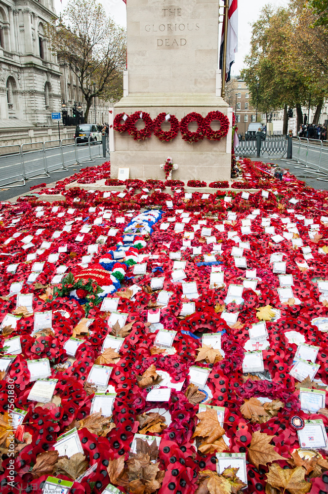 Red poppies wreaths in front of monument, United Kingdom, London