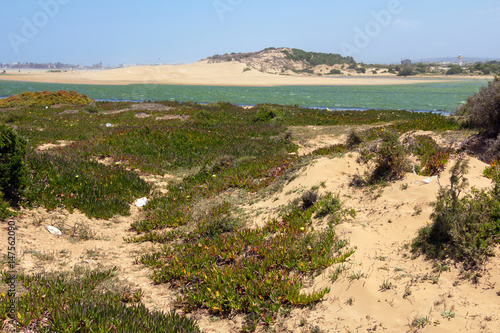 Plage d Essaouira au Maroc